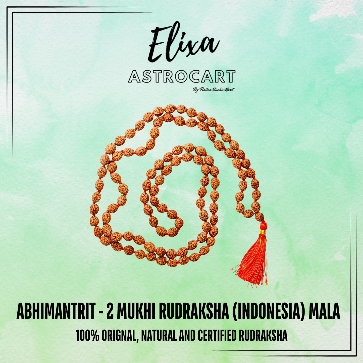 2 Mukhi Rudraksha (Indonesia) Mala [Certified | Abhimantrit - Energized | 100% Original and Natural]