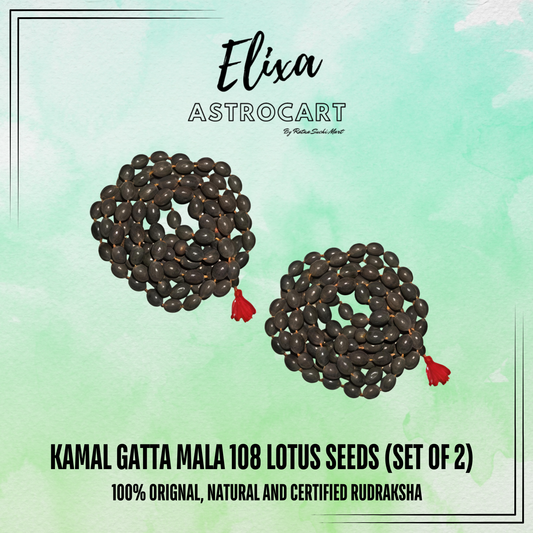 Kamla Gatta Mala 108 Lotus Seeds(Set of 2) [Certified | Abhimantrit - Energized | 100% Original and Natural]