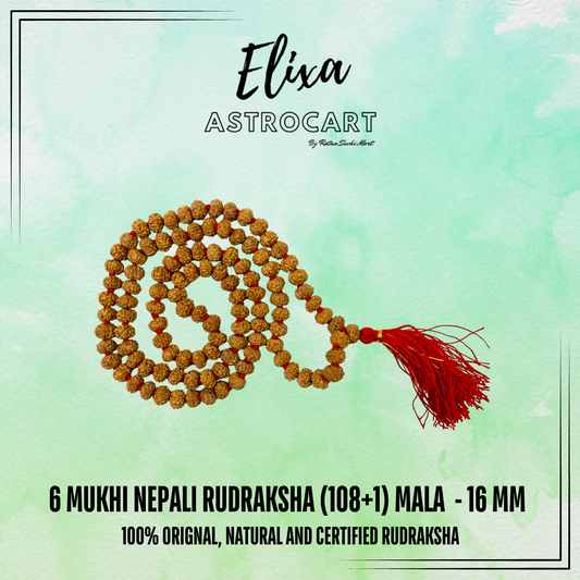 6 Mukhi Nepali Rudraksha (108+1) [Certified | Abhimantrit - Energized | 100% Original and Natural]