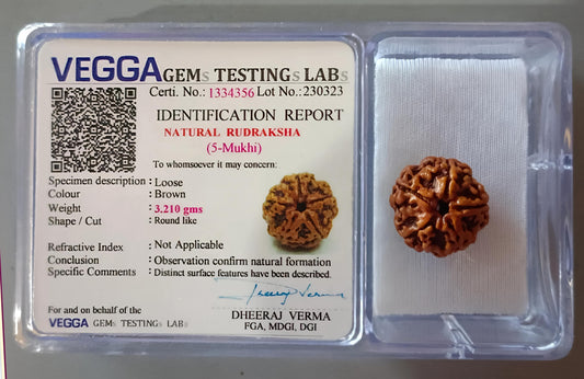 5 Mukhi Rudraksha [Certified | Abhimantrit - Energized | 100% Original and Natural]