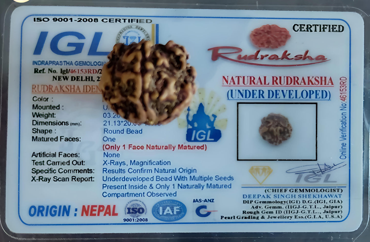 1 Mukhi Nepali Rudraksha [Certified | Abhimantrit - Energized | 100% Original and Natural]
