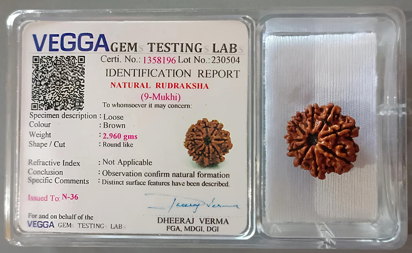 9 Mukhi Rudraksha [Certified | Abhimantrit - Energized | 100% Original and Natural]
