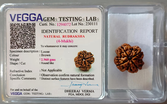 4 Mukhi Rudraksha [Certified | Abhimantrit - Energized | 100% Original and Natural]