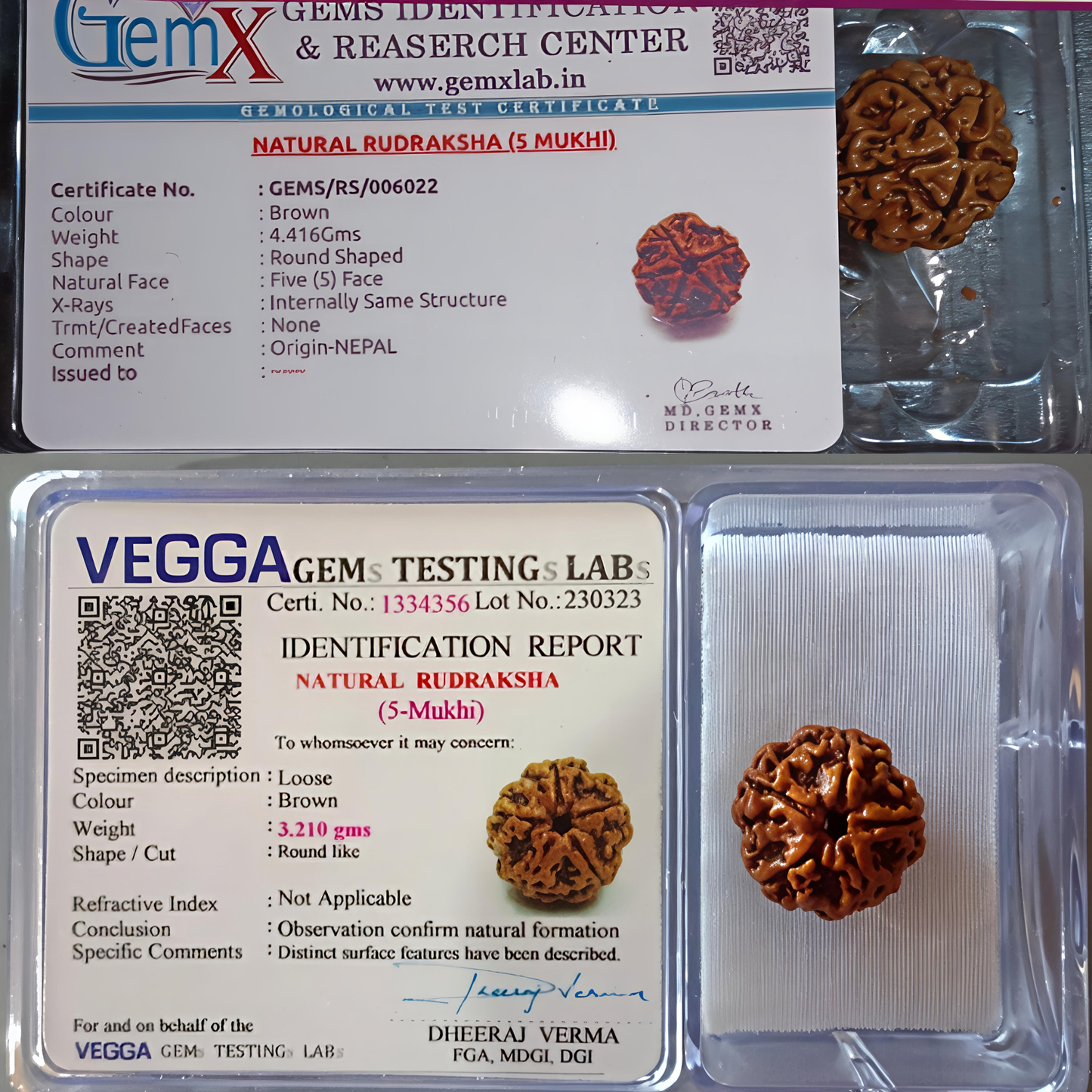 5 Mukhi Rudraksha [Certified | Abhimantrit - Energized | 100% Original and Natural]