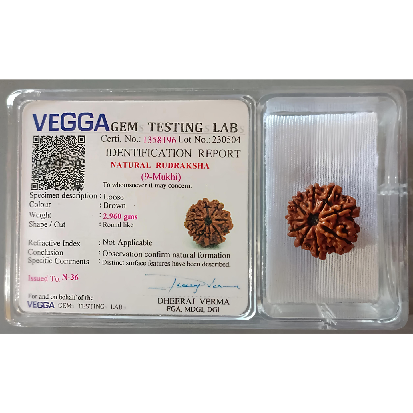 9 Mukhi Rudraksha [Certified | Abhimantrit - Energized | 100% Original and Natural]