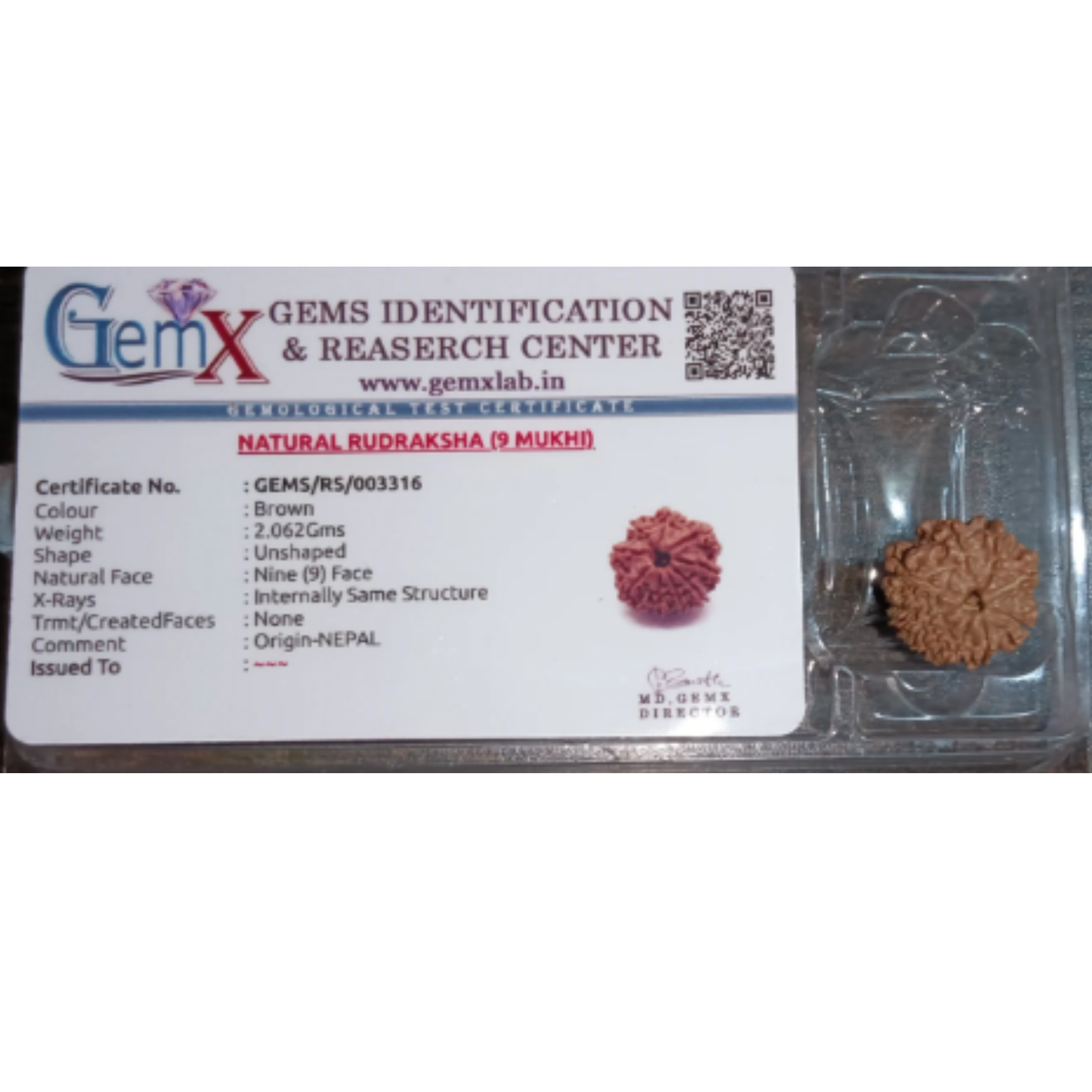 9 Mukhi Rudraksha [Certified | Abhimantrit - Energized | 100% Original and Natural]