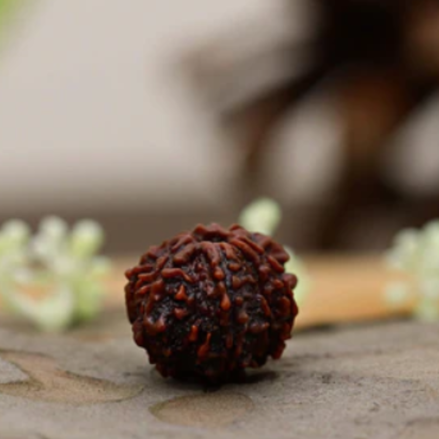 9 Mukhi Rudraksha [Certified | Abhimantrit - Energized | 100% Original and Natural]