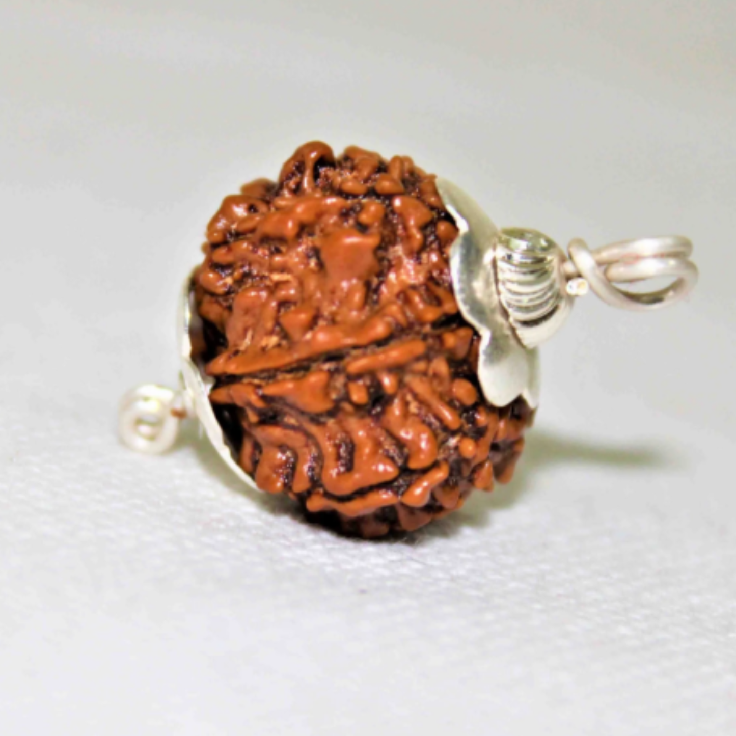 9 Mukhi Rudraksha [Certified | Abhimantrit - Energized | 100% Original and Natural]