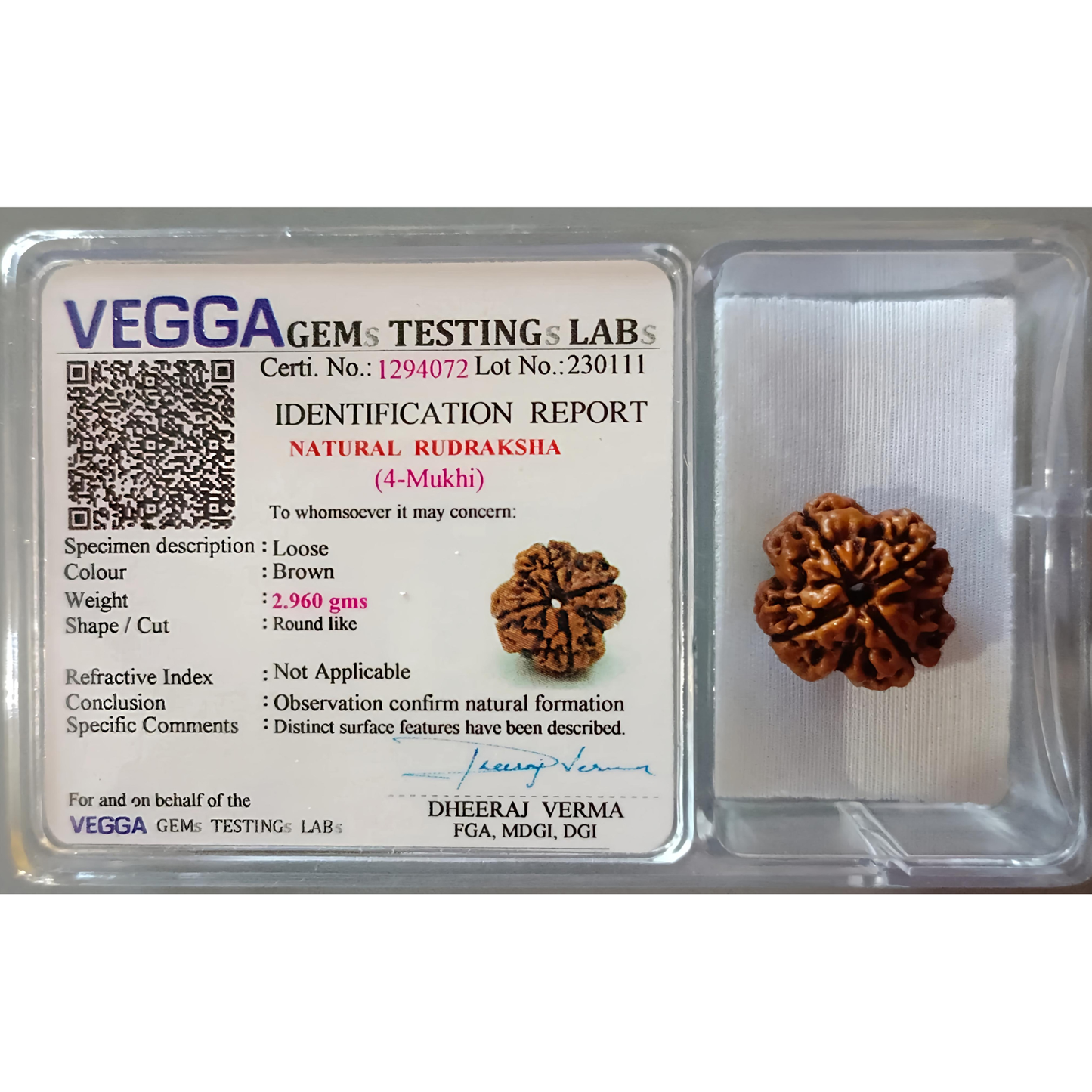 4 Mukhi Rudraksha [Certified | Abhimantrit - Energized | 100% Original and Natural]