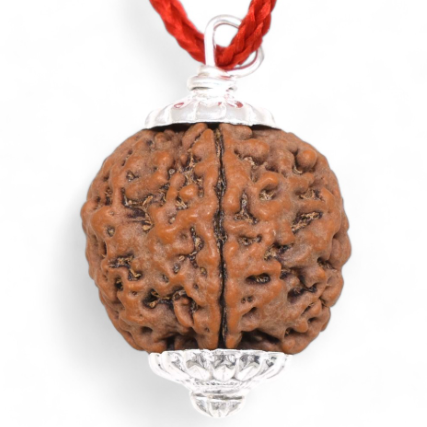 4 Mukhi Rudraksha [Certified | Abhimantrit - Energized | 100% Original and Natural]