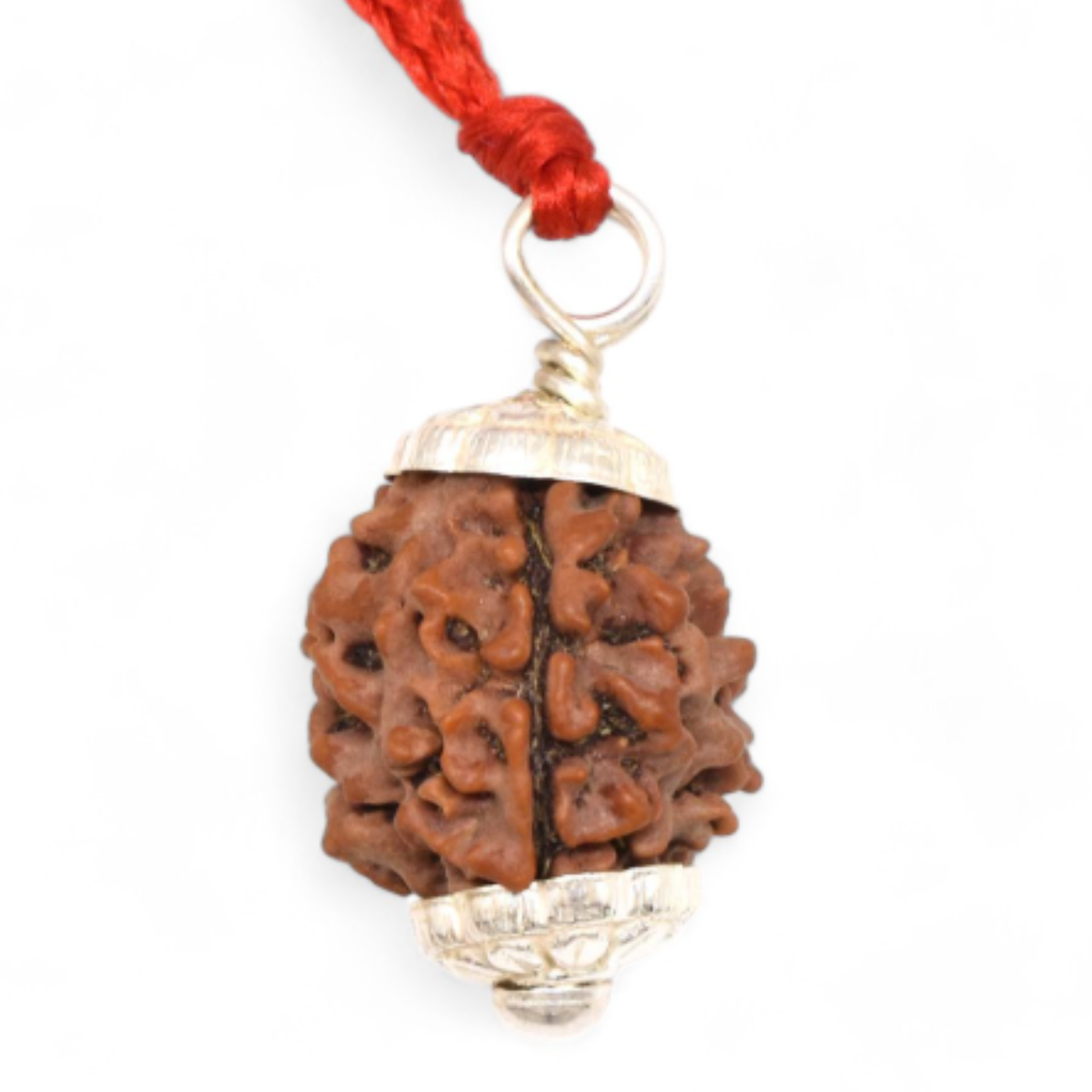 3 Mukhi Nepali Rudraksha [Certified | Abhimantrit - Energized | 100% Original and Natural]