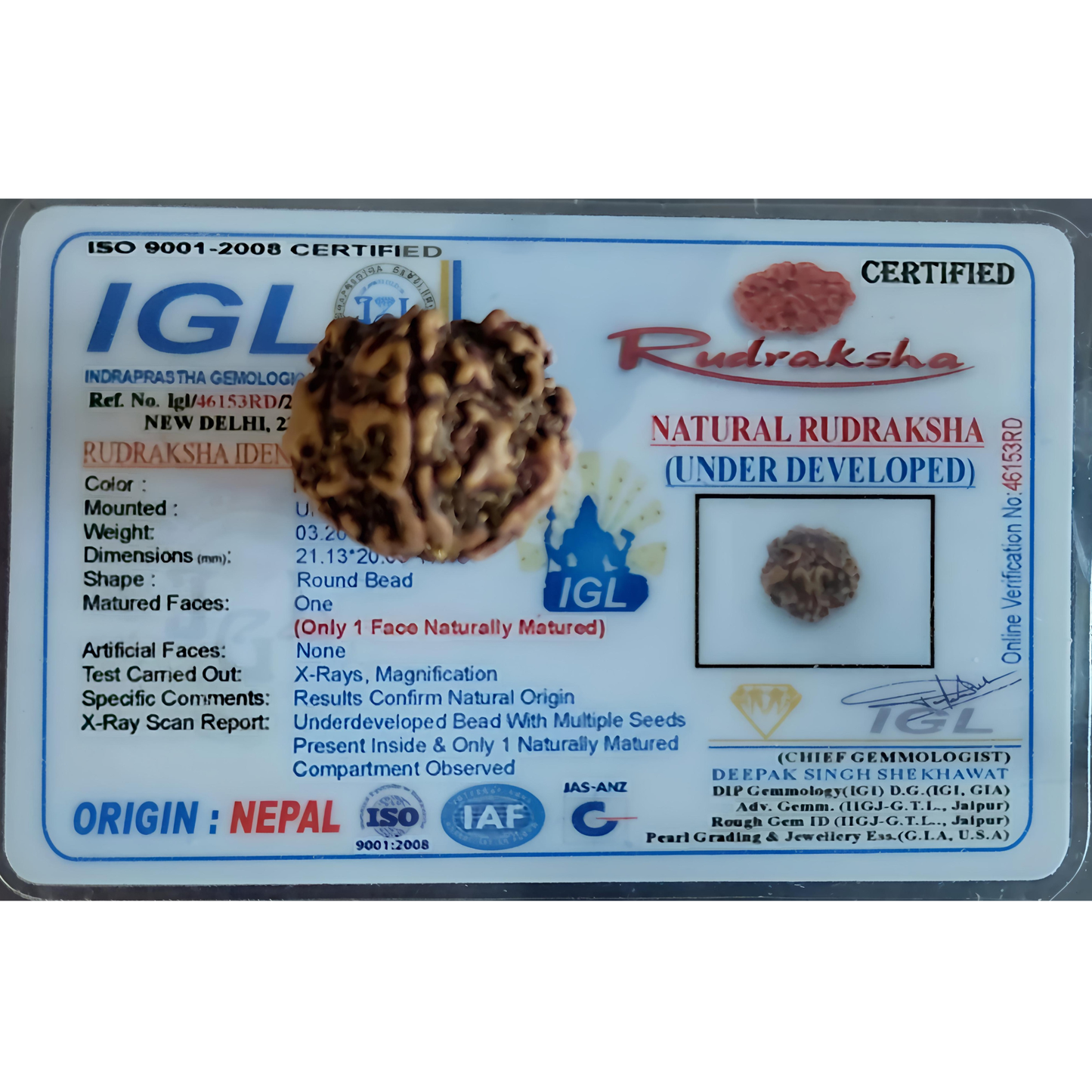 1 Mukhi Nepali Rudraksha [Certified | Abhimantrit - Energized | 100% Original and Natural]