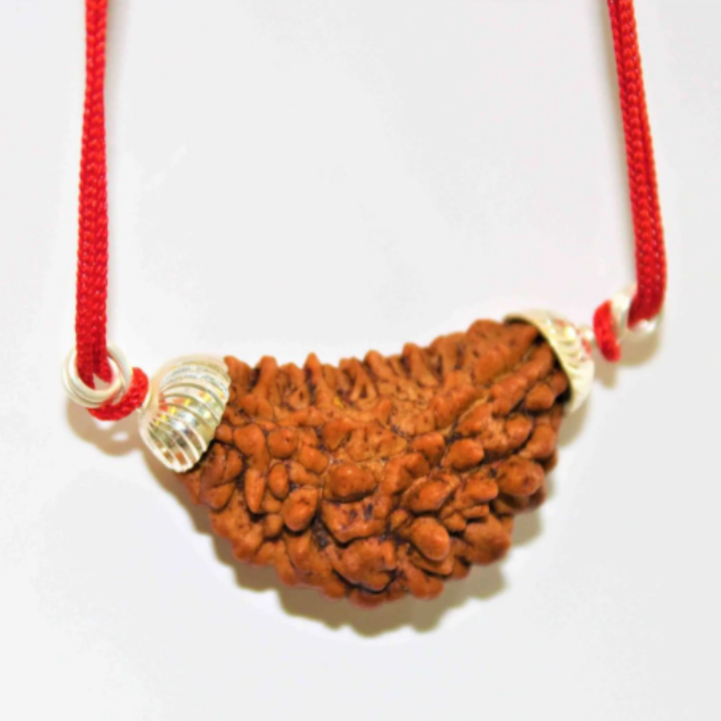 1 Mukhi Nepali Rudraksha [Certified | Abhimantrit - Energized | 100% Original and Natural]
