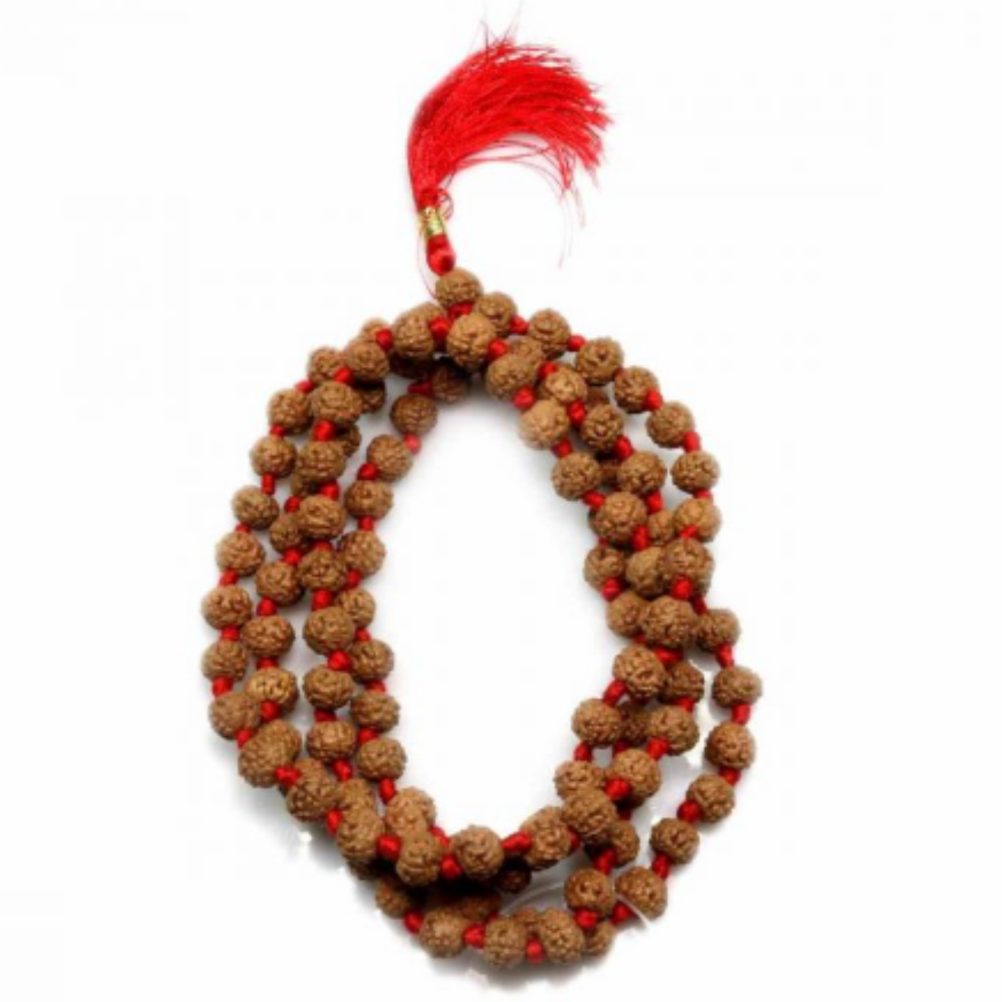 6 Mukhi Nepali Rudraksha (108+1) [Certified | Abhimantrit - Energized | 100% Original and Natural]