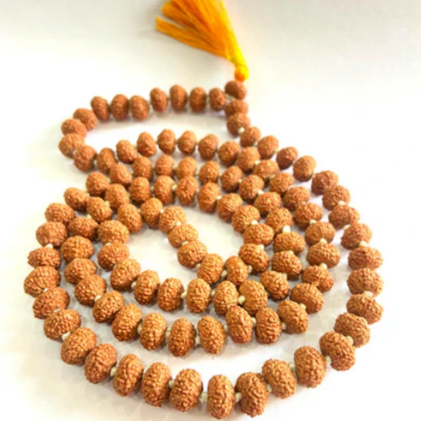 2 to 10 Mukhi Rudraksha Mala [Certified | Abhimantrit - Energized | 100% Original and Natural]