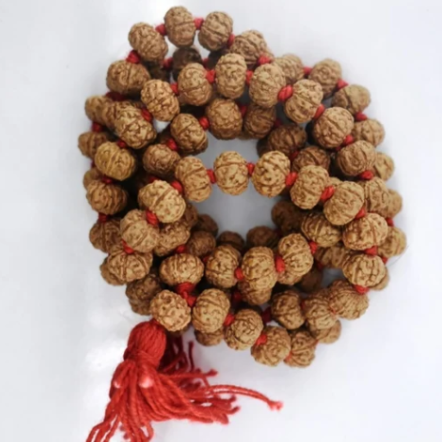 2 to 10 Mukhi Rudraksha Mala [Certified | Abhimantrit - Energized | 100% Original and Natural]