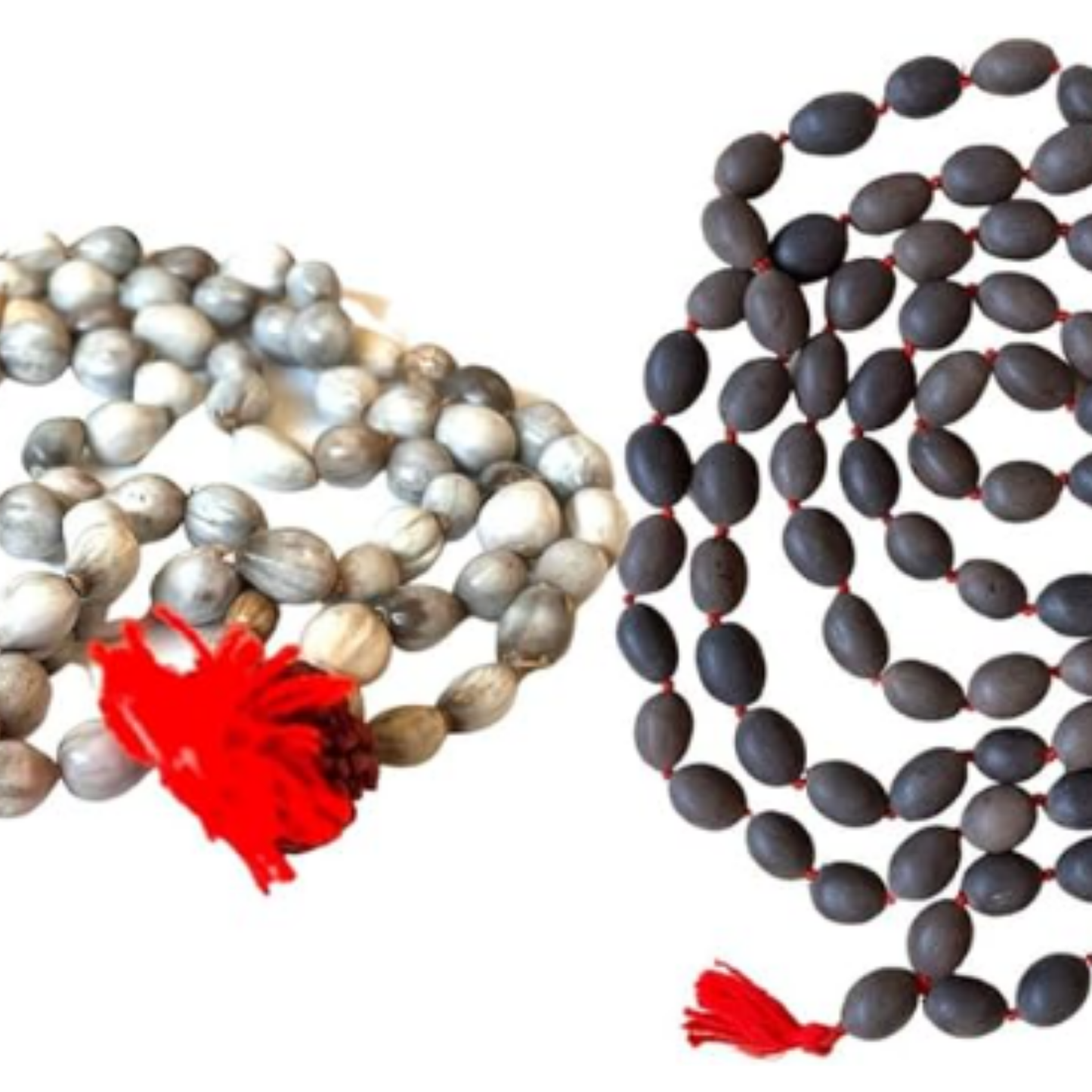 Vaijayanti and Lotus Seed Mala [Certified | Abhimantrit - Energized | 100% Original and Natural]