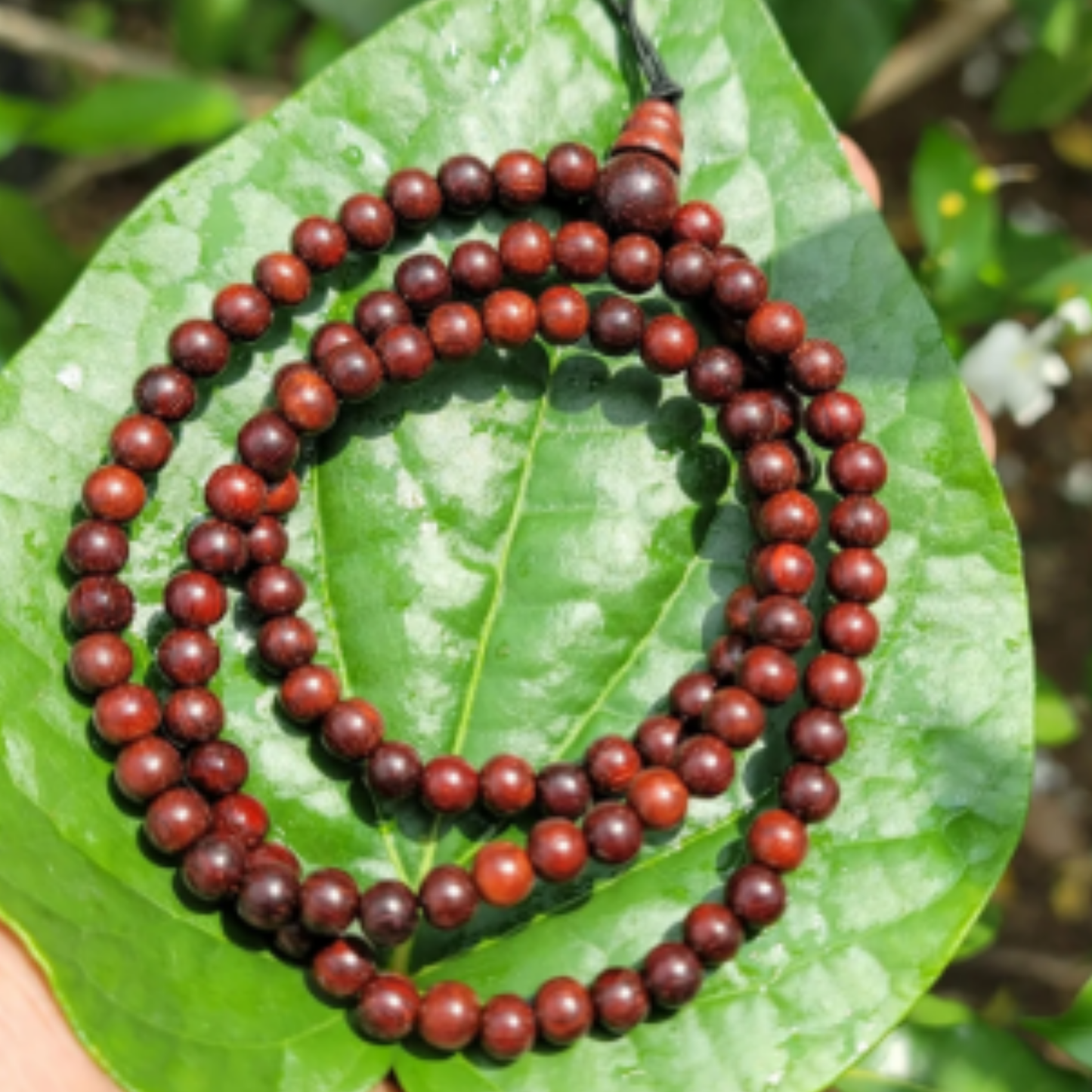 Red Chandan(Sandalwood) Mala [Certified | Abhimantrit - Energized | 100% Original and Natural]