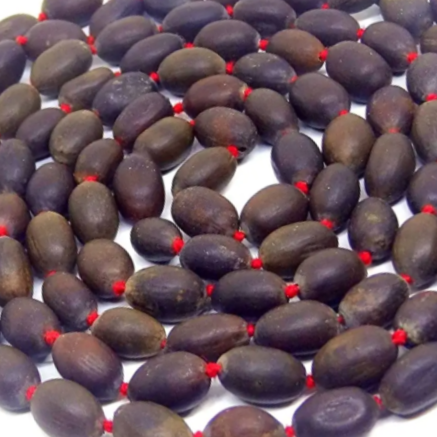 Kamal Gatta Mala [Certified | Abhimantrit - Energized | 100% Original and Natural]