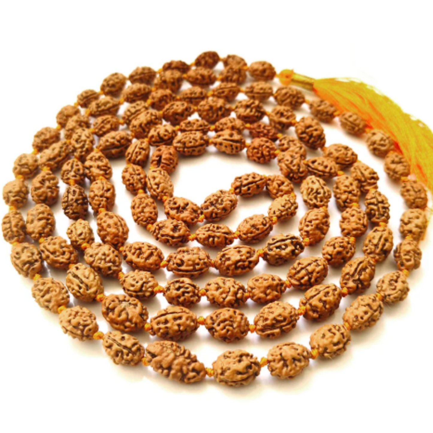2 Mukhi Rudraksha (Indonesia) Mala [Certified | Abhimantrit - Energized | 100% Original and Natural]