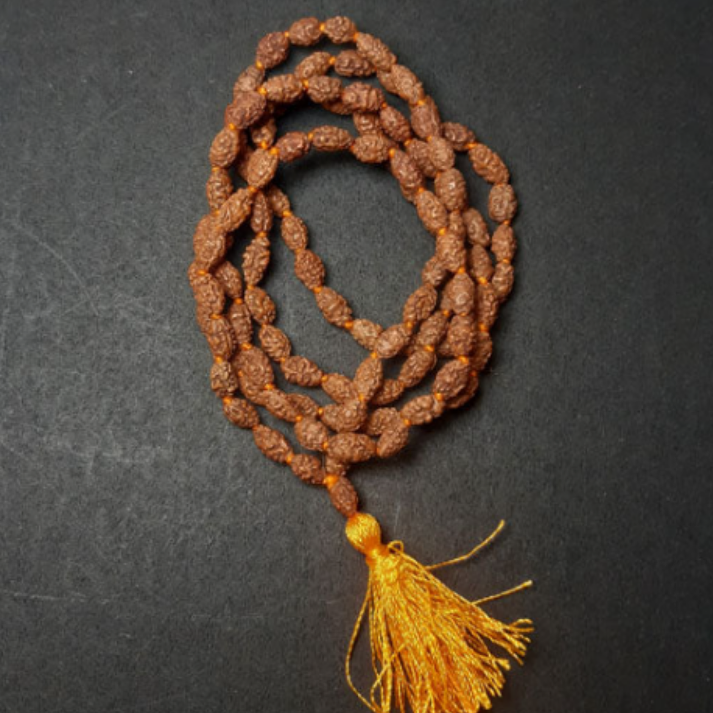 2 Mukhi Rudraksha (Indonesia) Mala [Certified | Abhimantrit - Energized | 100% Original and Natural]