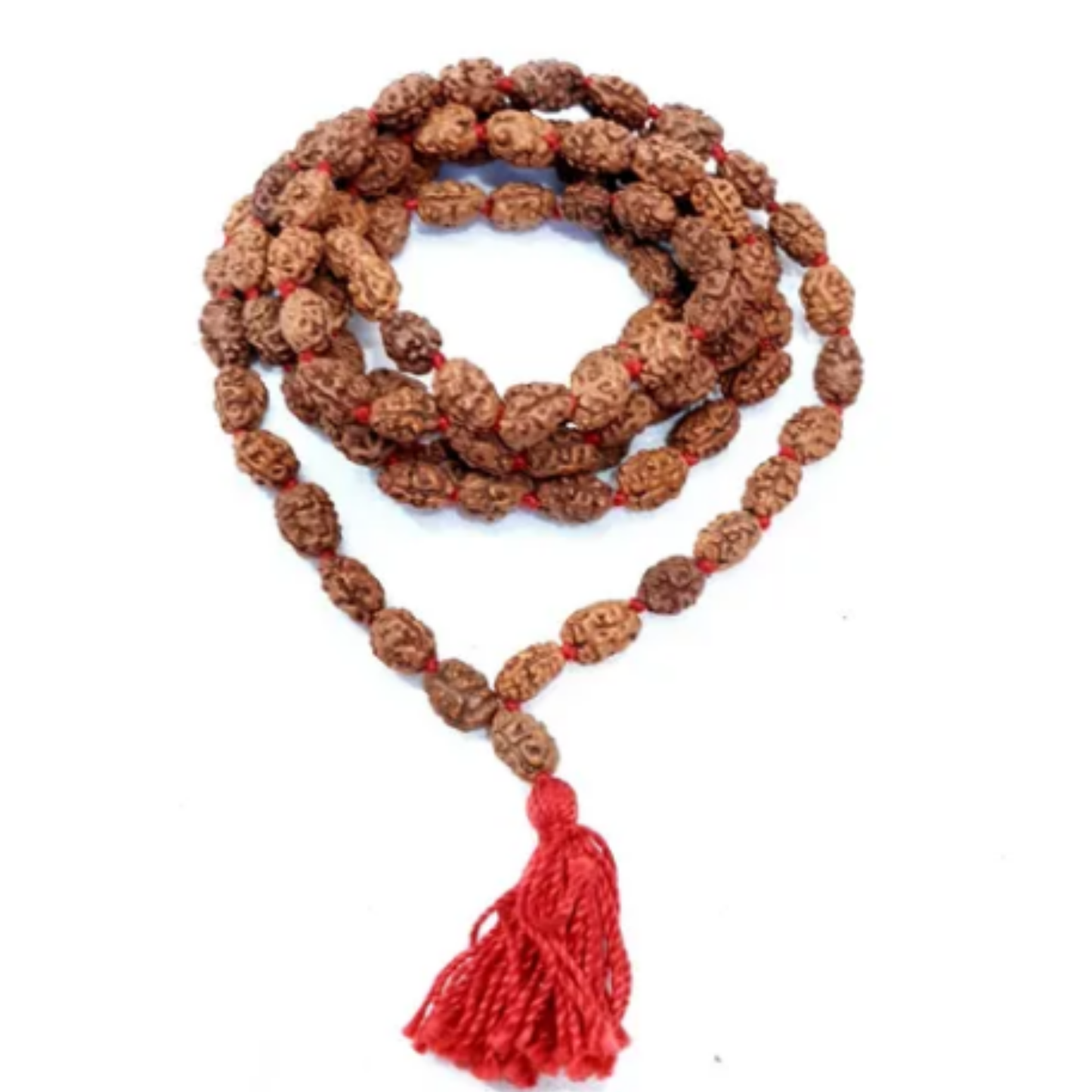 2 Mukhi Rudraksha (Indonesia) Mala [Certified | Abhimantrit - Energized | 100% Original and Natural]