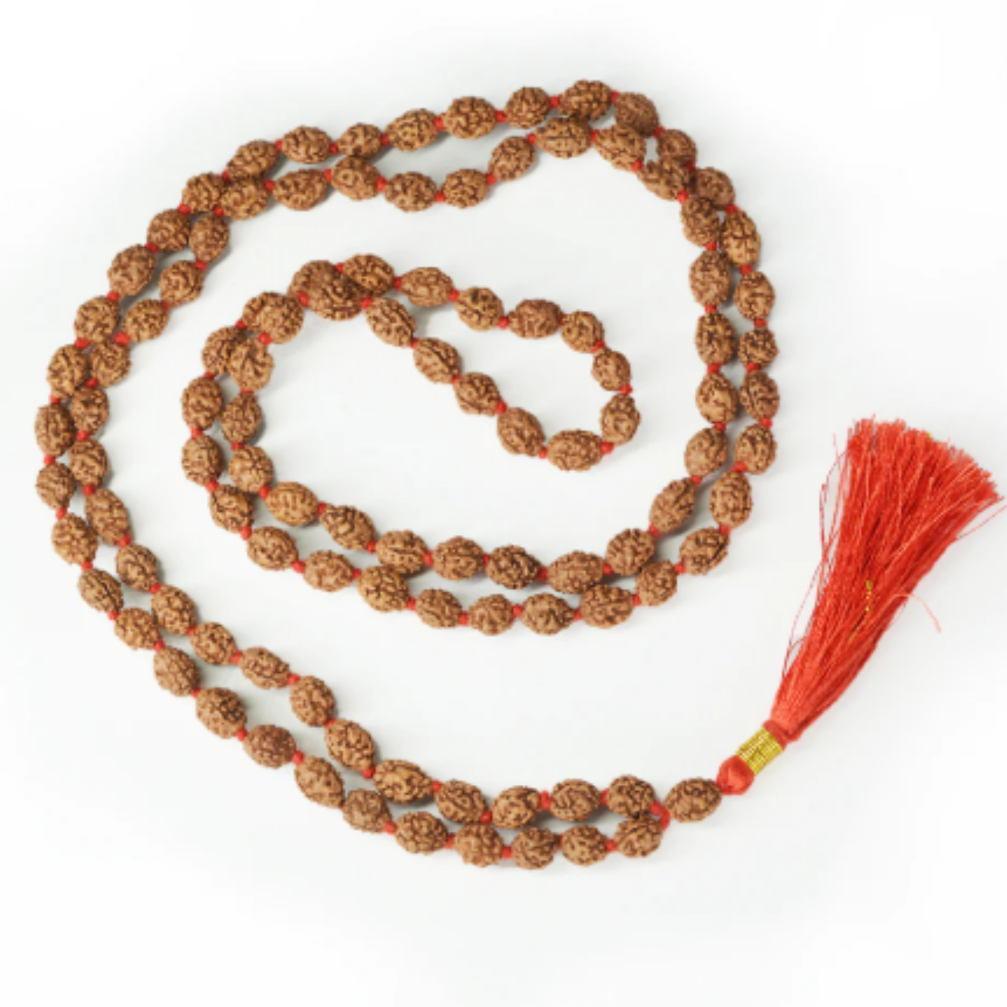 3 Mukhi Rudraksha(Indonesia) Mala [Certified | Abhimantrit - Energized | 100% Original and Natural]