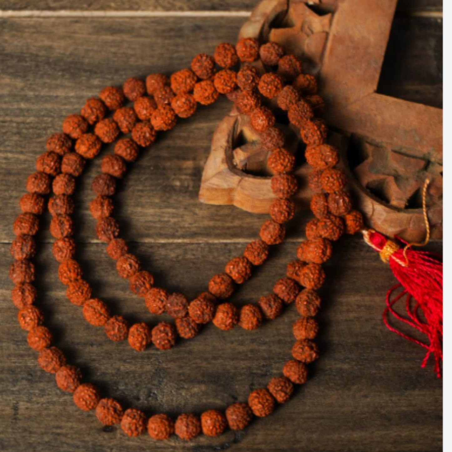 5 Mukhi Rudraksha Mala [Certified | Abhimantrit - Energized | 100% Original and Natural]
