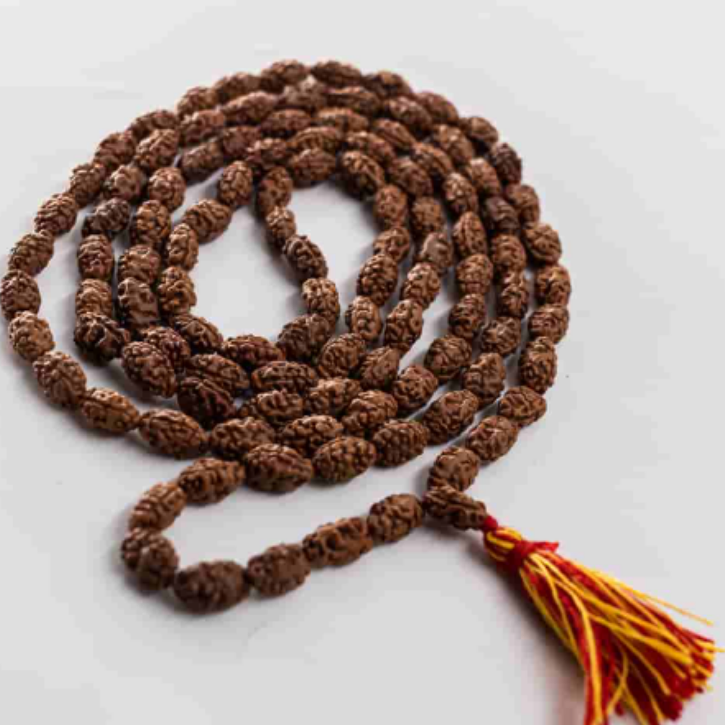 3 Mukhi Rudraksha(Indonesia) Mala [Certified | Abhimantrit - Energized | 100% Original and Natural]