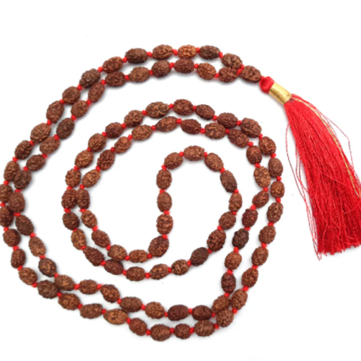 3 Mukhi Rudraksha(Indonesia) Mala [Certified | Abhimantrit - Energized | 100% Original and Natural]