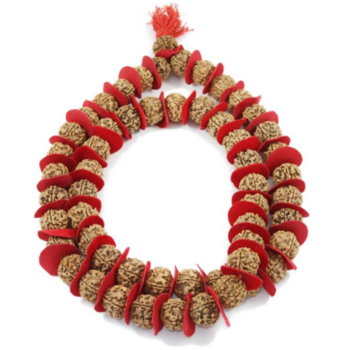 5 Mukhi Nepali Rudraksha Kantha - (54+1) [Certified | Abhimantrit - Energized | 100% Original and Natural]