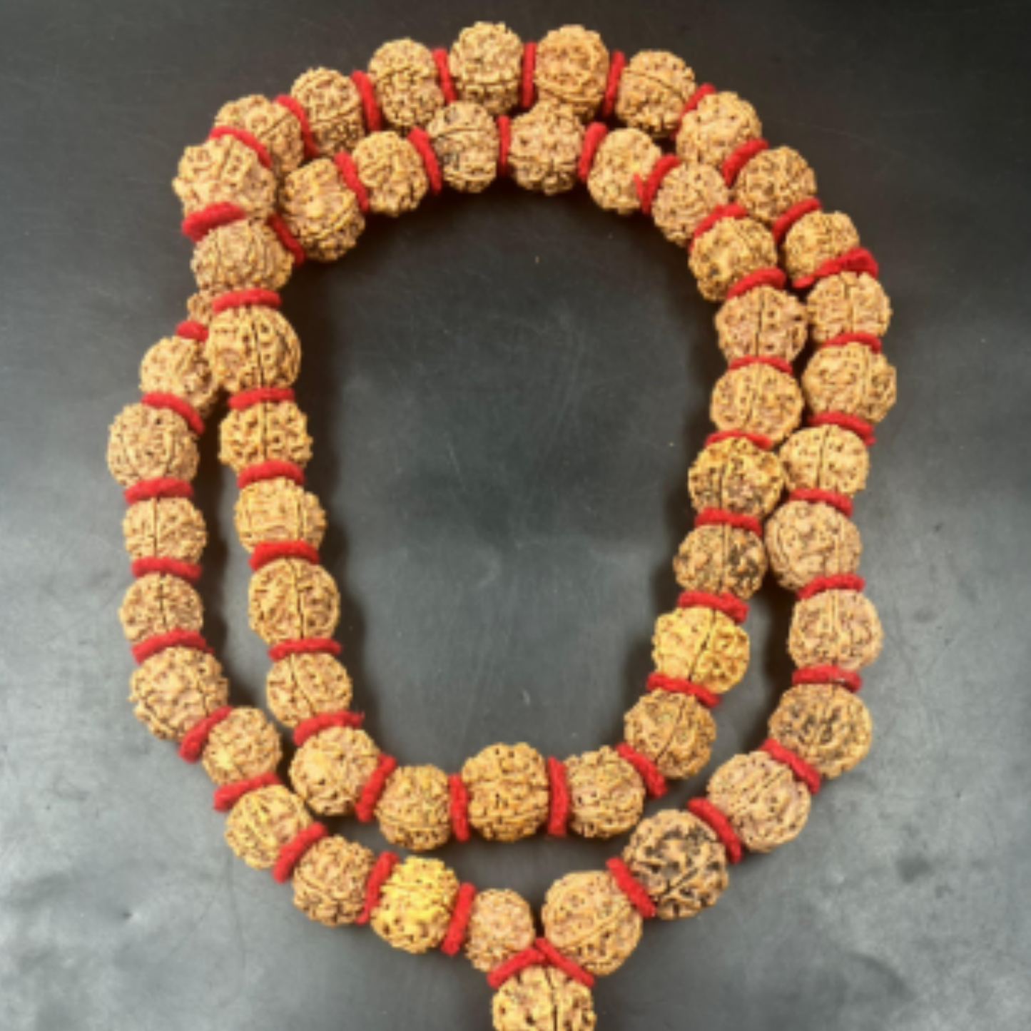 5 Mukhi Nepali Rudraksha Kantha - (54+1) [Certified | Abhimantrit - Energized | 100% Original and Natural]