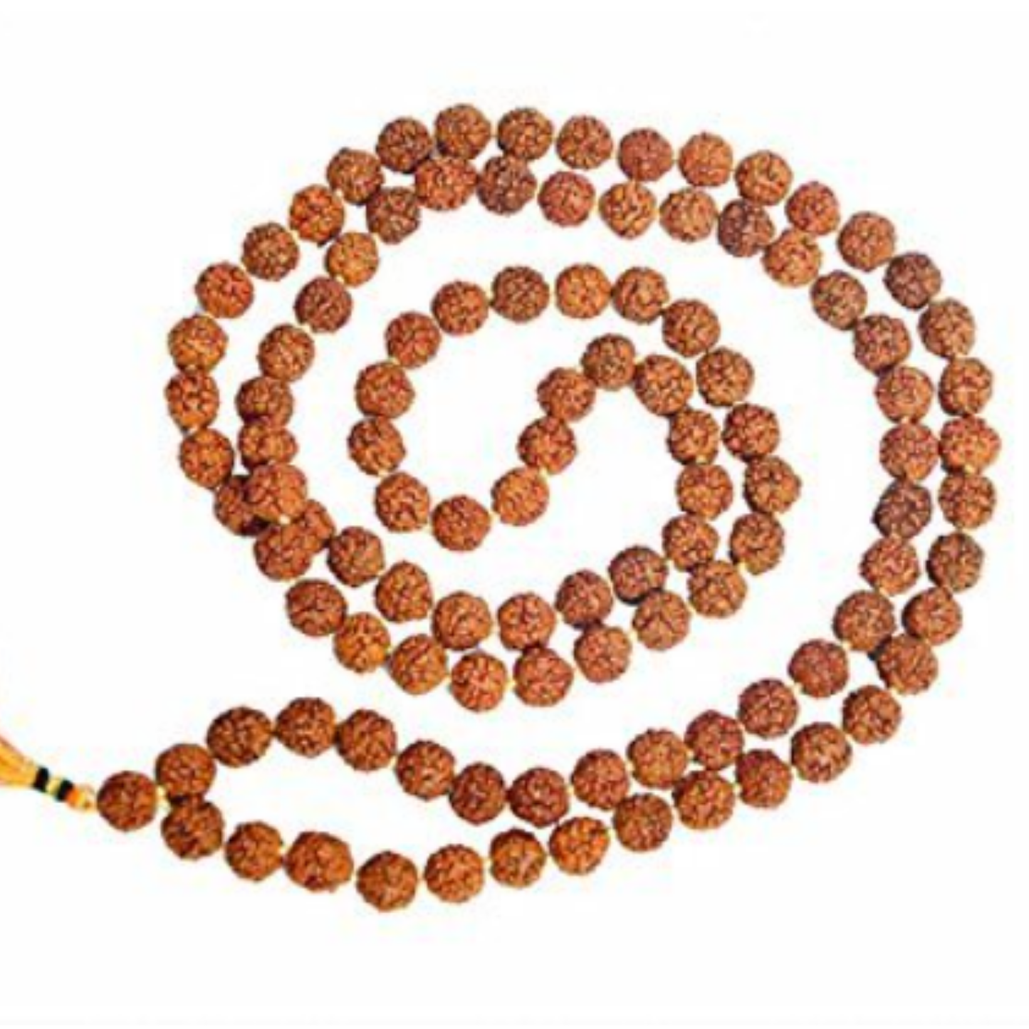 5 Mukhi Nepali Rudraksha (108+1) [Certified | Abhimantrit - Energized | 100% Original and Natural]