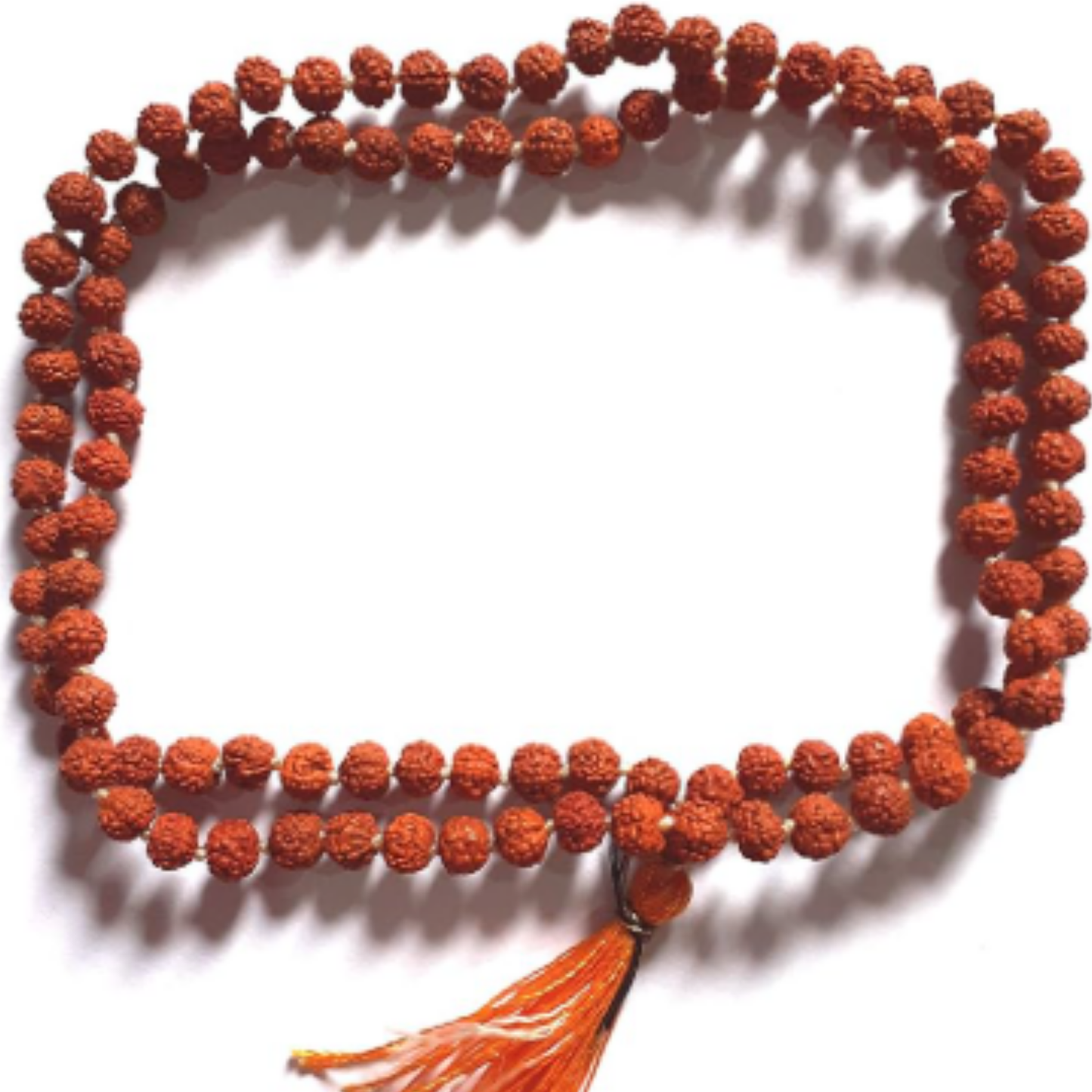 5 Mukhi Nepali Rudraksha (108+1) [Certified | Abhimantrit - Energized | 100% Original and Natural]