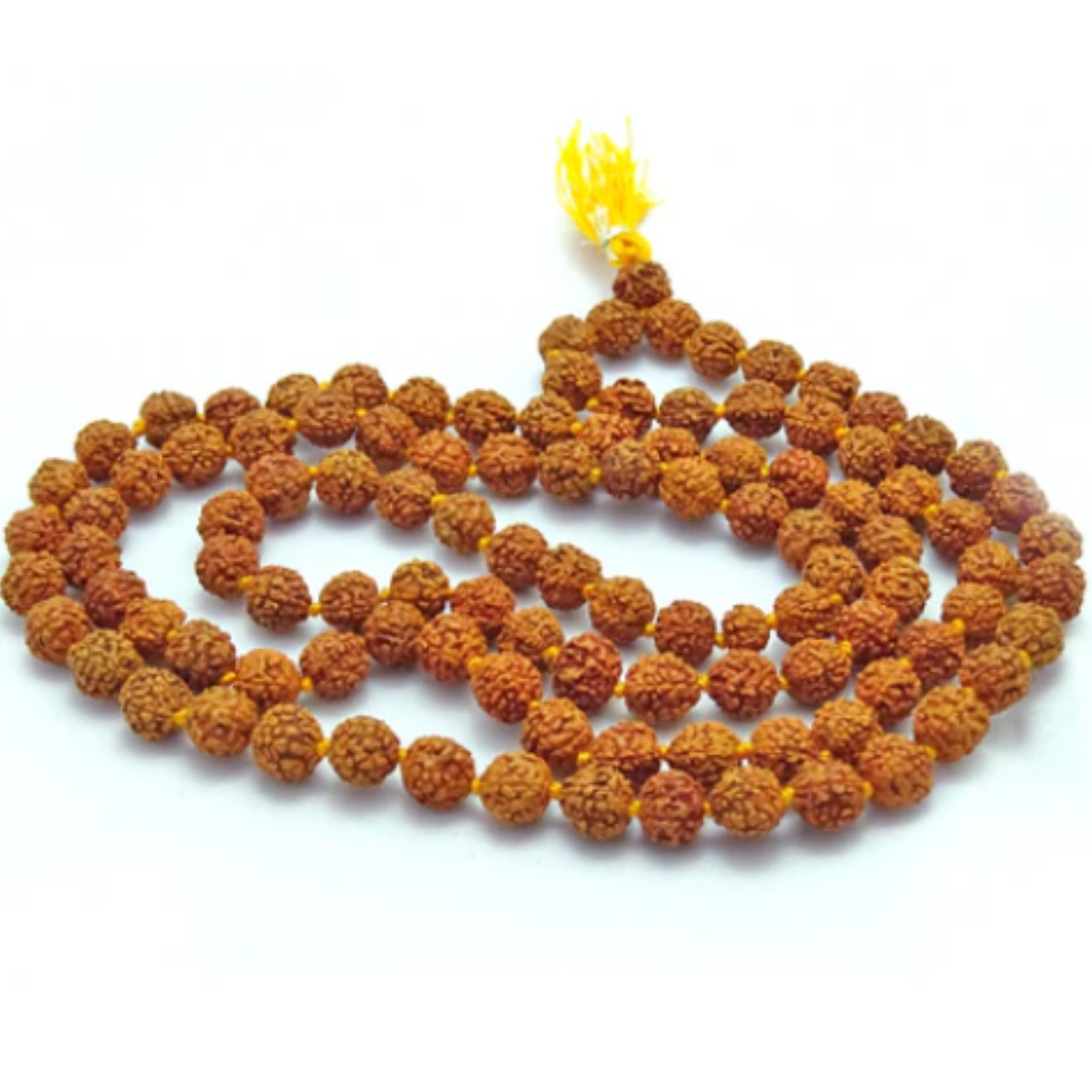 6 Mukhi Nepali Rudraksha (108+1) [Certified | Abhimantrit - Energized | 100% Original and Natural]