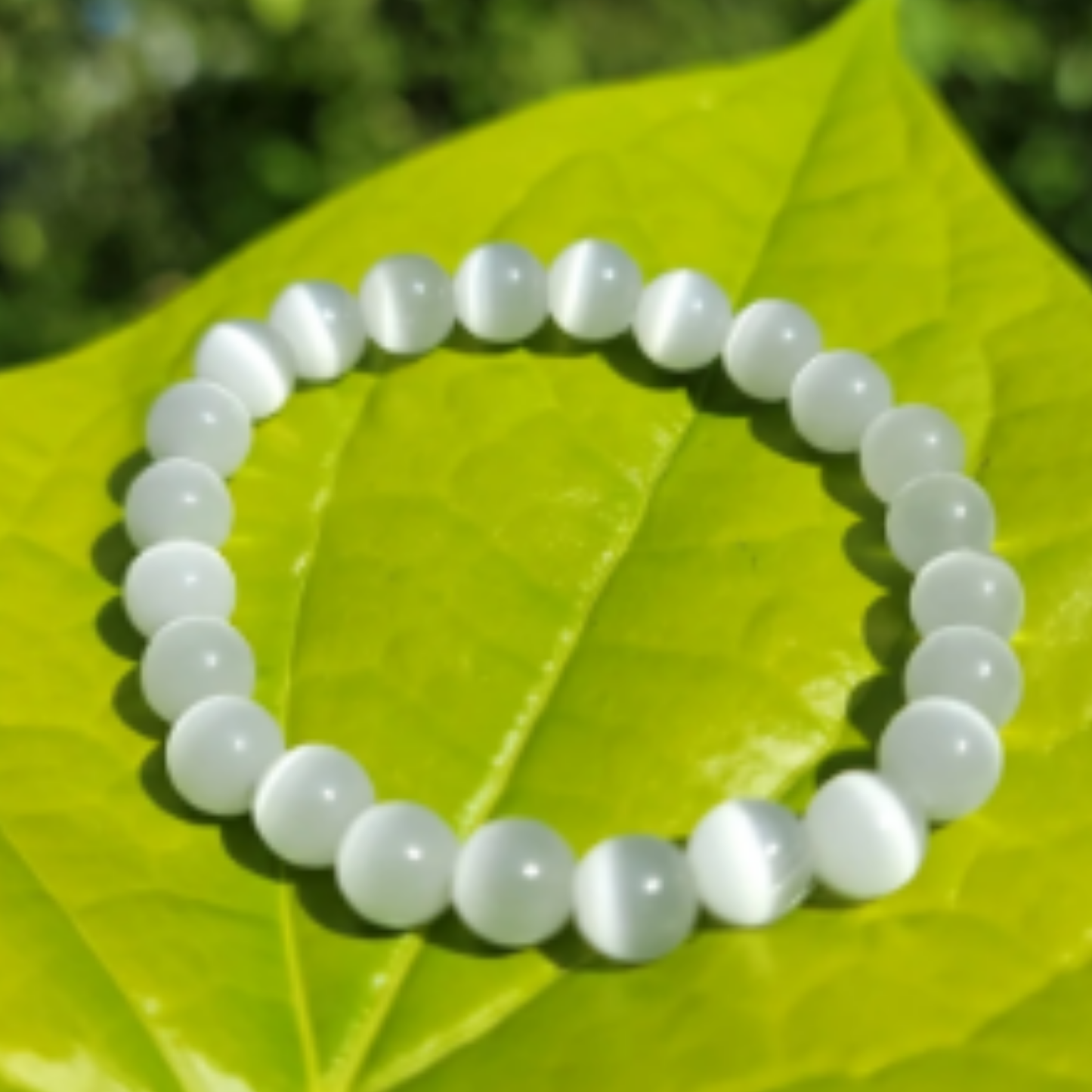 Selenite Bracelet [Certified | Abhimantrit - Energized | 100% Original and Natural]