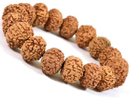 7 Mukhi Rudraksha Bracelet (Nepali)[Certified | Abhimantrit - Energized | 100% Original and Natural]