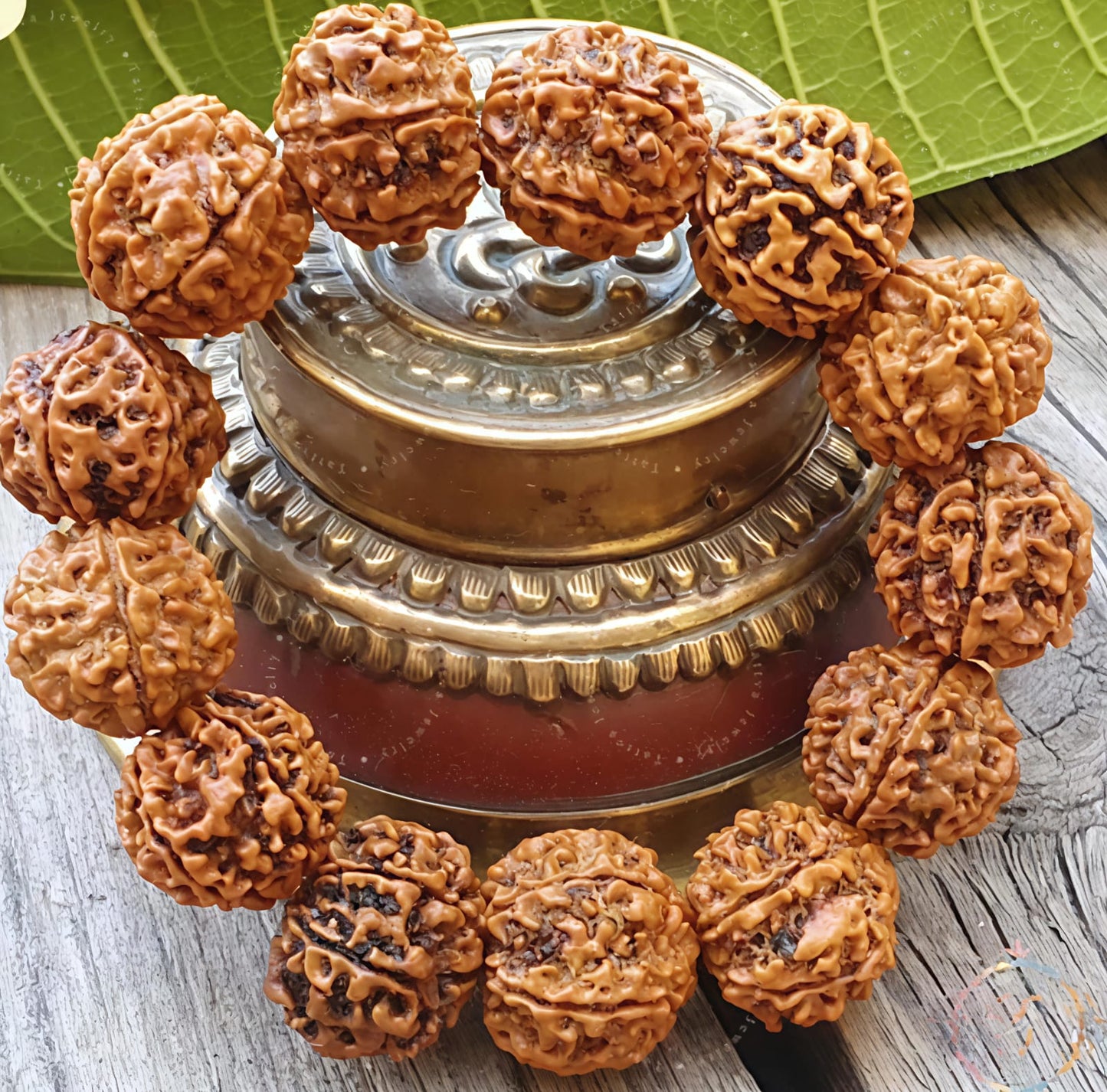 6 Mukhi Rudraksha Bracelet (Nepali)[Certified | Abhimantrit - Energized | 100% Original and Natural]
