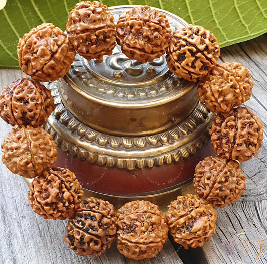 6 Mukhi Rudraksha Bracelet (Nepali)[Certified | Abhimantrit - Energized | 100% Original and Natural]