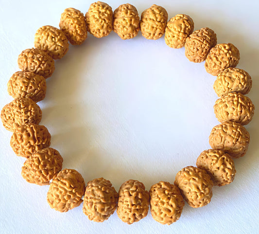 7 Mukhi Rudraksha Bracelet (Indonesia)[Certified | Abhimantrit - Energized | 100% Original and Natural]
