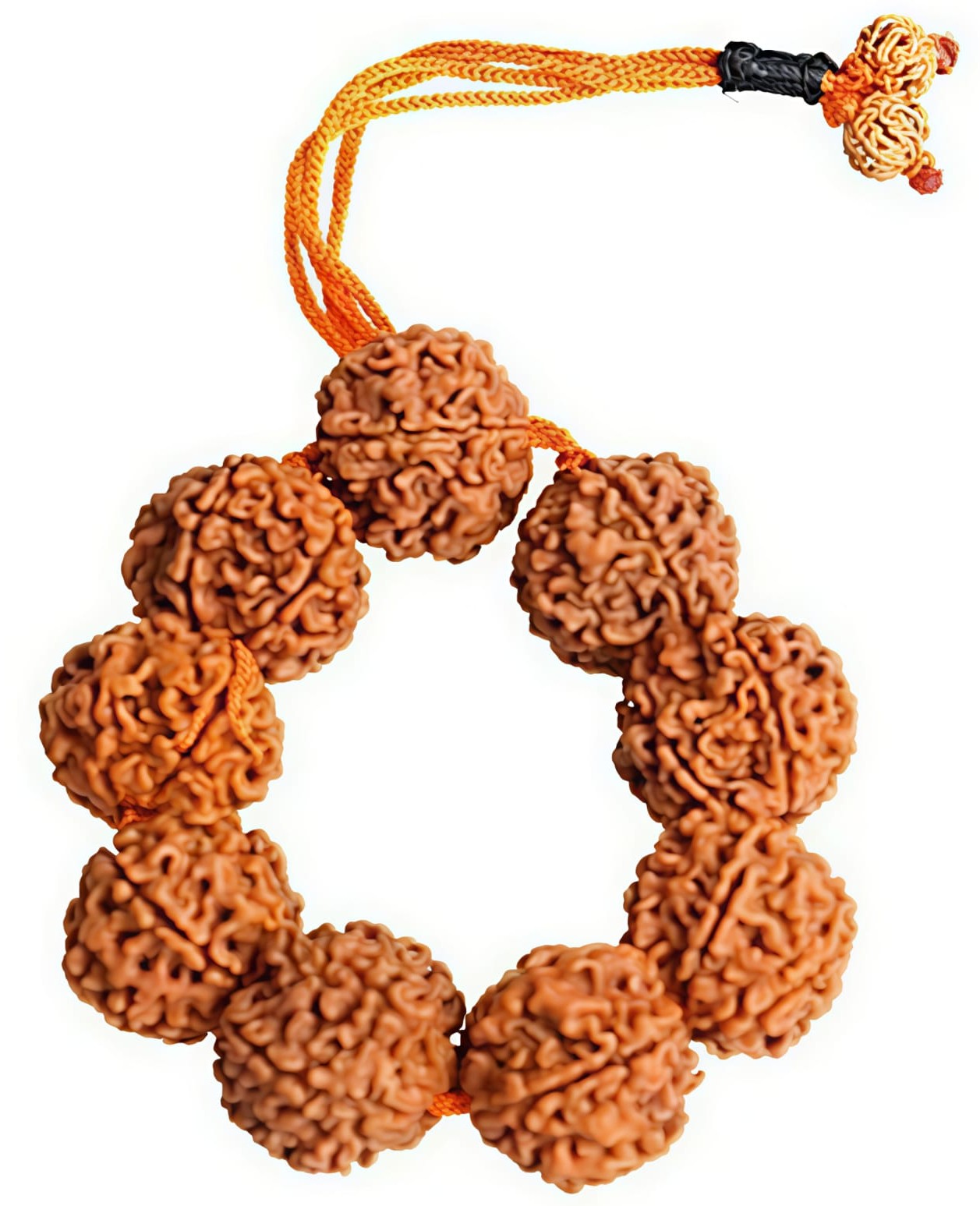 6 Mukhi Rudraksha Bracelet (Indonesia)[Certified | Abhimantrit - Energized | 100% Original and Natural]