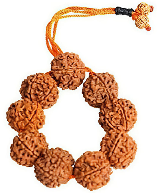6 Mukhi Rudraksha Bracelet (Indonesia)[Certified | Abhimantrit - Energized | 100% Original and Natural]