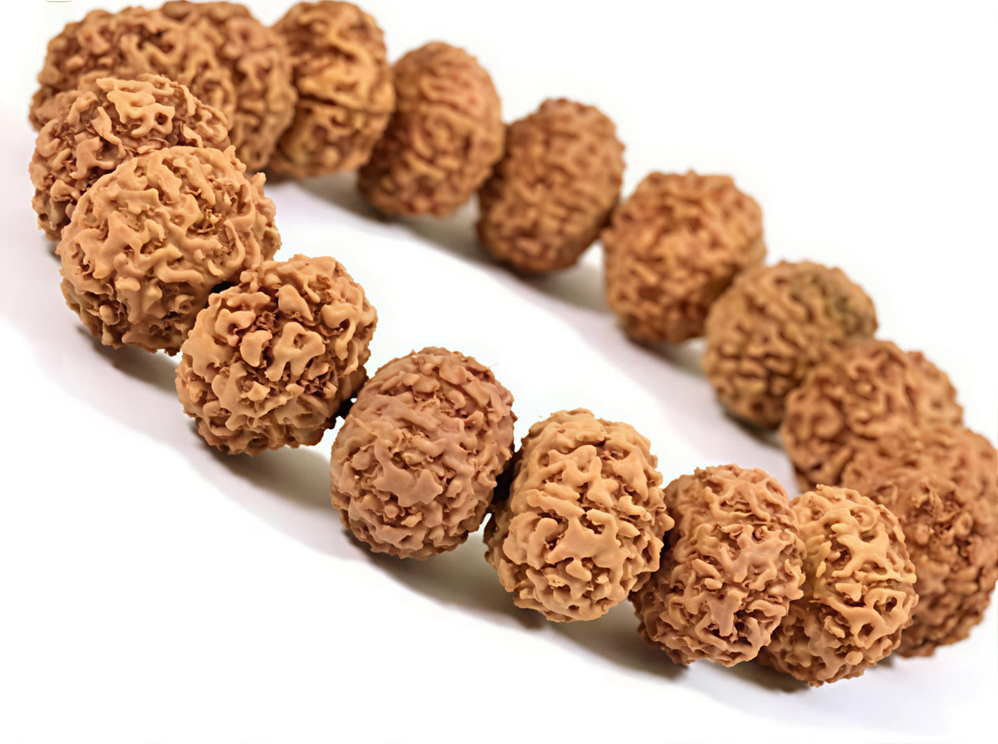 10 Mukhi Rudraksha Bracelet (Indonesia)[Certified | Abhimantrit - Energized | 100% Original and Natural]