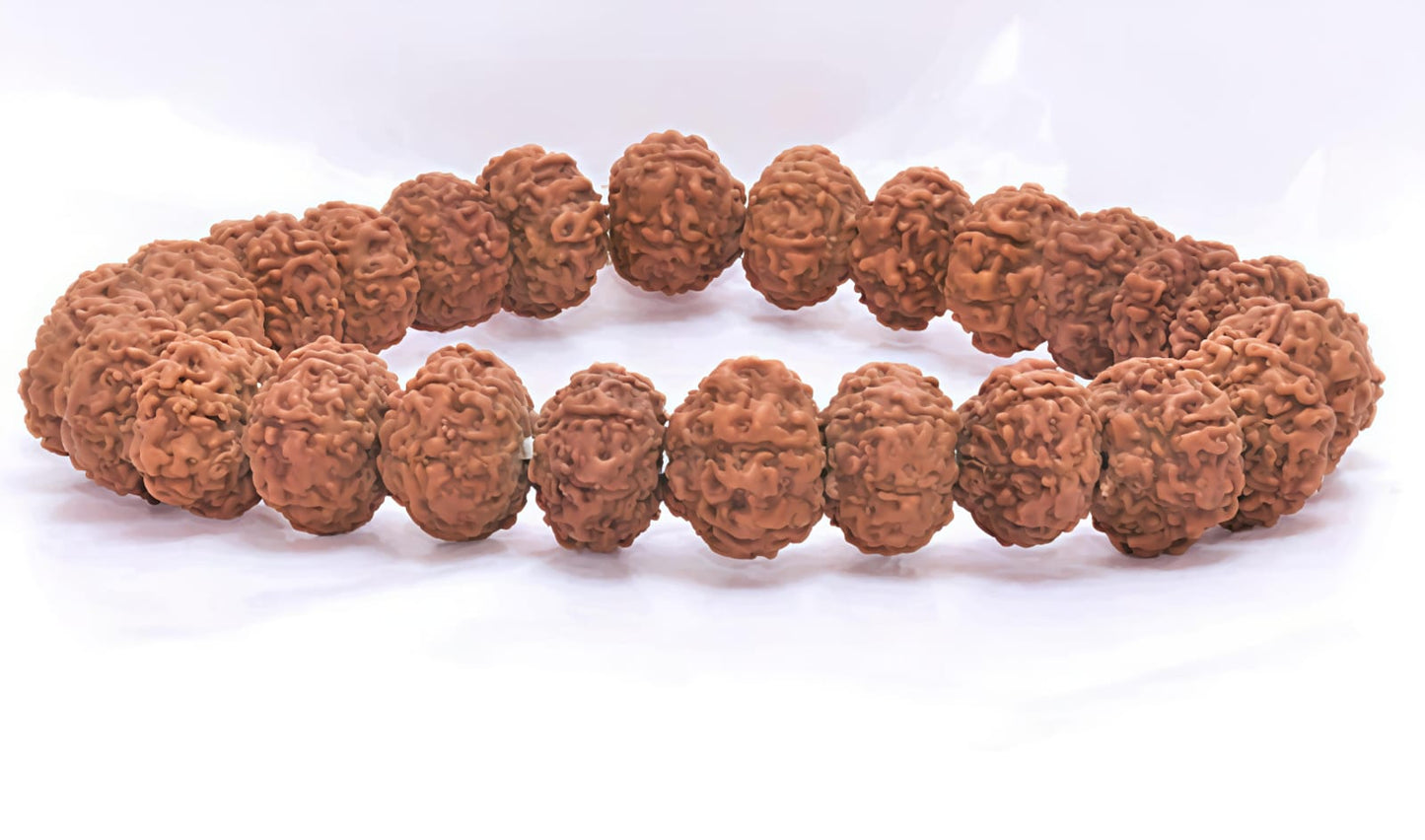 8 Mukhi Rudraksha Bracelet (Indonesia)[Certified | Abhimantrit - Energized | 100% Original and Natural]
