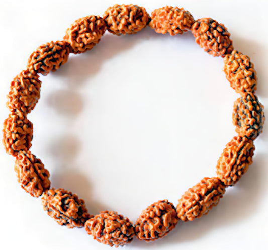 2 Mukhi Rudraksha Bracelet (Indonesia)[Certified | Abhimantrit - Energized | 100% Original and Natural]