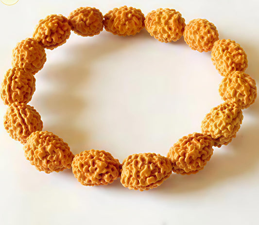 3 Mukhi Rudraksha Bracelet (Indonesia)[Certified | Abhimantrit - Energized | 100% Original and Natural]