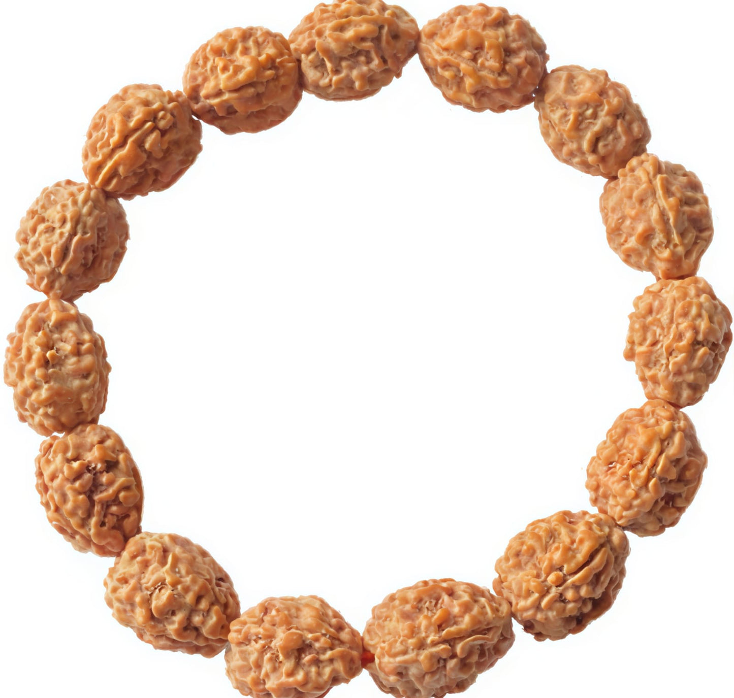 4 Mukhi Rudraksha Bracelet (Indonesia)[Certified | Abhimantrit - Energized | 100% Original and Natural]