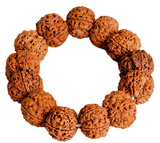 5 Mukhi Rudraksha Bracelet (Nepali)[Certified | Abhimantrit - Energized | 100% Original and Natural]