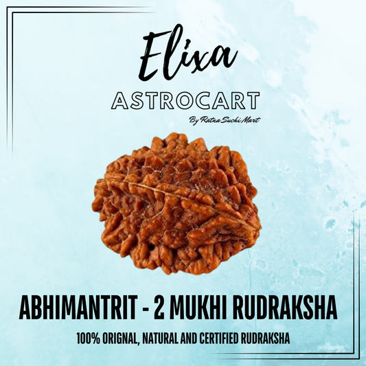 2 Mukhi Nepali Rudraksha [Certified | Abhimantrit - Energized | 100% Original and Natural]