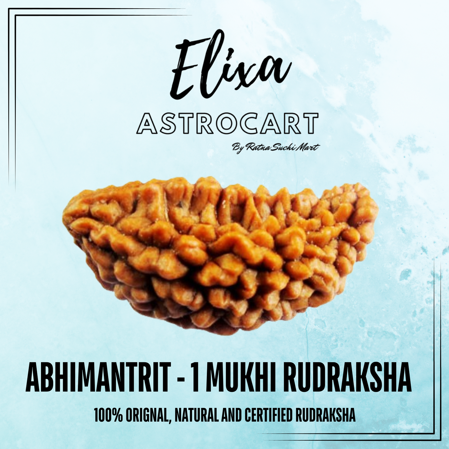 1 Mukhi Nepali Rudraksha [Certified | Abhimantrit - Energized | 100% Original and Natural]